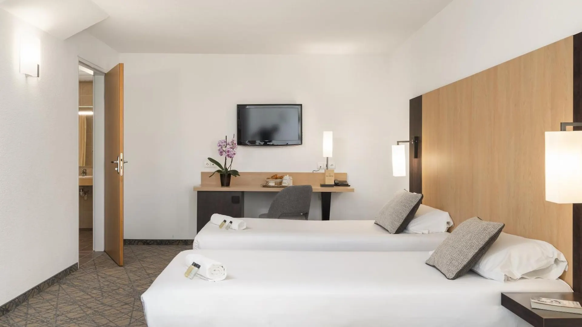 Hotel Eliseo Lourdes